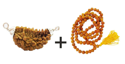 1 Mukhi Rudraksha