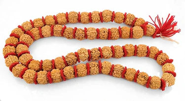 5 Mukhi Rudraksha Mala for Men/Women Wearing (15mm, Big Size Rudraksh Beads