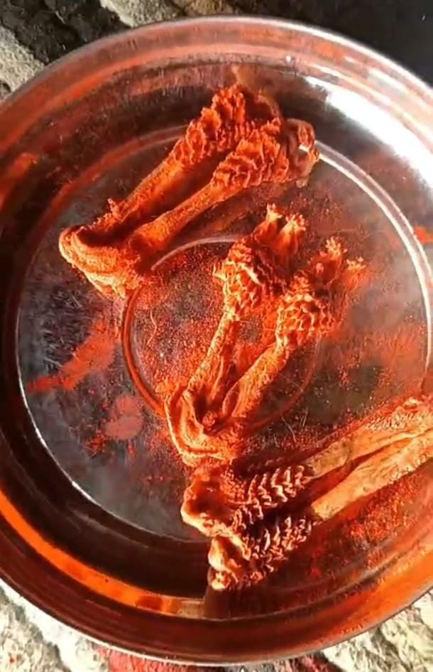 Hatha Jodi – Divine Symbol of Prosperity & Spiritual Protection