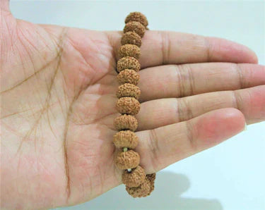 9 Mukhi Rudraksha Bracelet (Indonesian Origin)