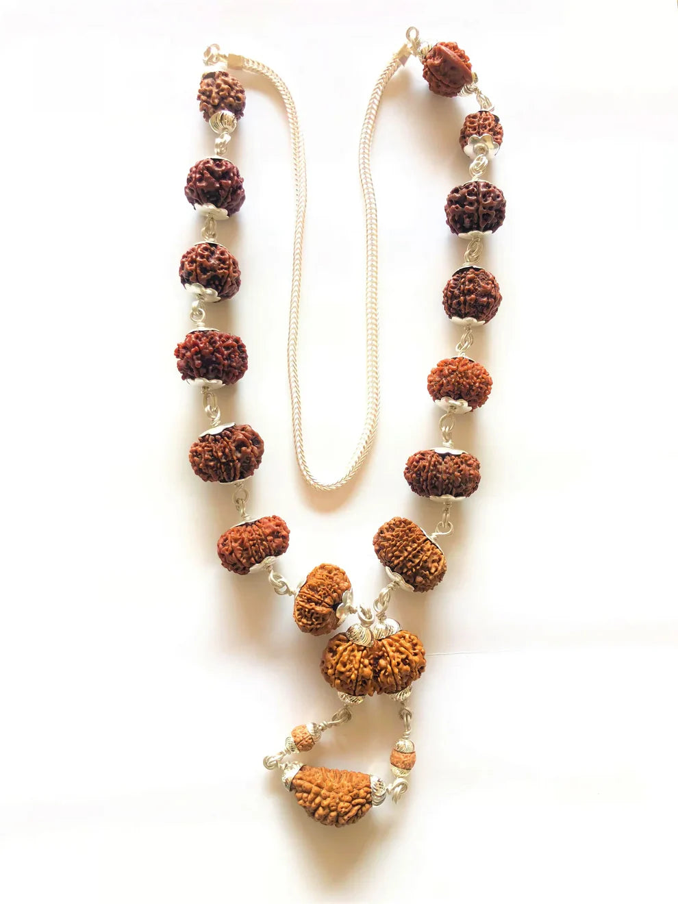 1 - 14 Mukhi Rudraksha Mala (Nepal Origin- Collector Beads)