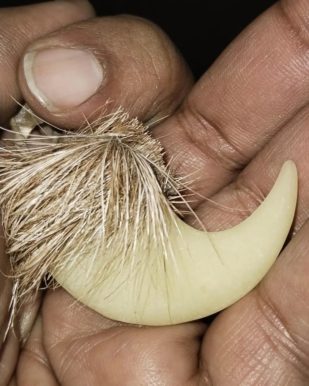 Natural Lion Claw Pair Pendants – Symbol of Power Protection