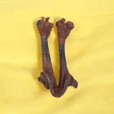 Hatha Jodi – Divine Symbol of Prosperity & Spiritual Protection