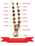 1 - 14 Mukhi Rudraksha Mala (Nepal Origin- Collector Beads)