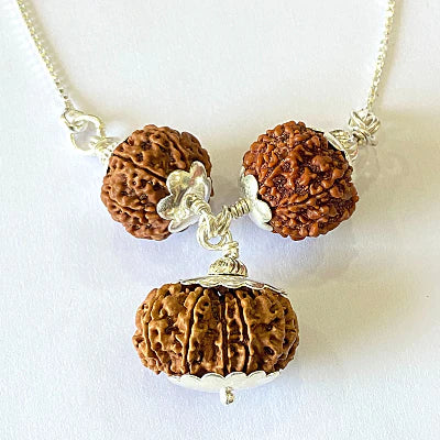 7,8 & 14 Mukhi Rudraksha Combination For (Brokers & Indsutrialists)