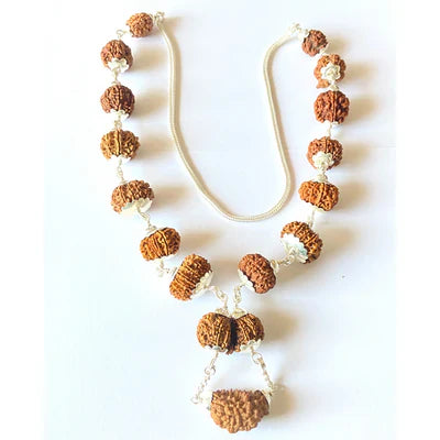1 - 14 Mukhi Rudraksha Mala ( In Thread)