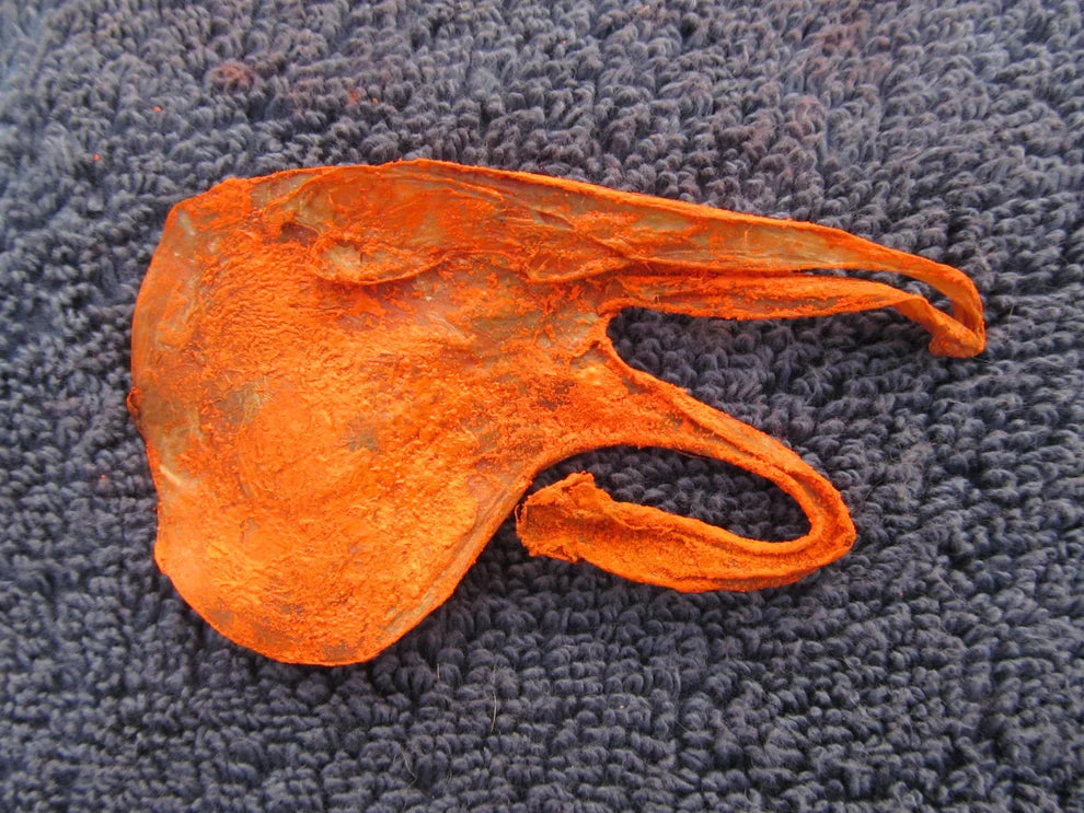 Kali Billi Ki Jer / Nal ( Energized Cat’s Umbilical Cord) #The Ultimate Secret to Wealth & Business Success