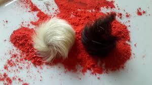 Siyar Singhi Energised Male & Female Pair